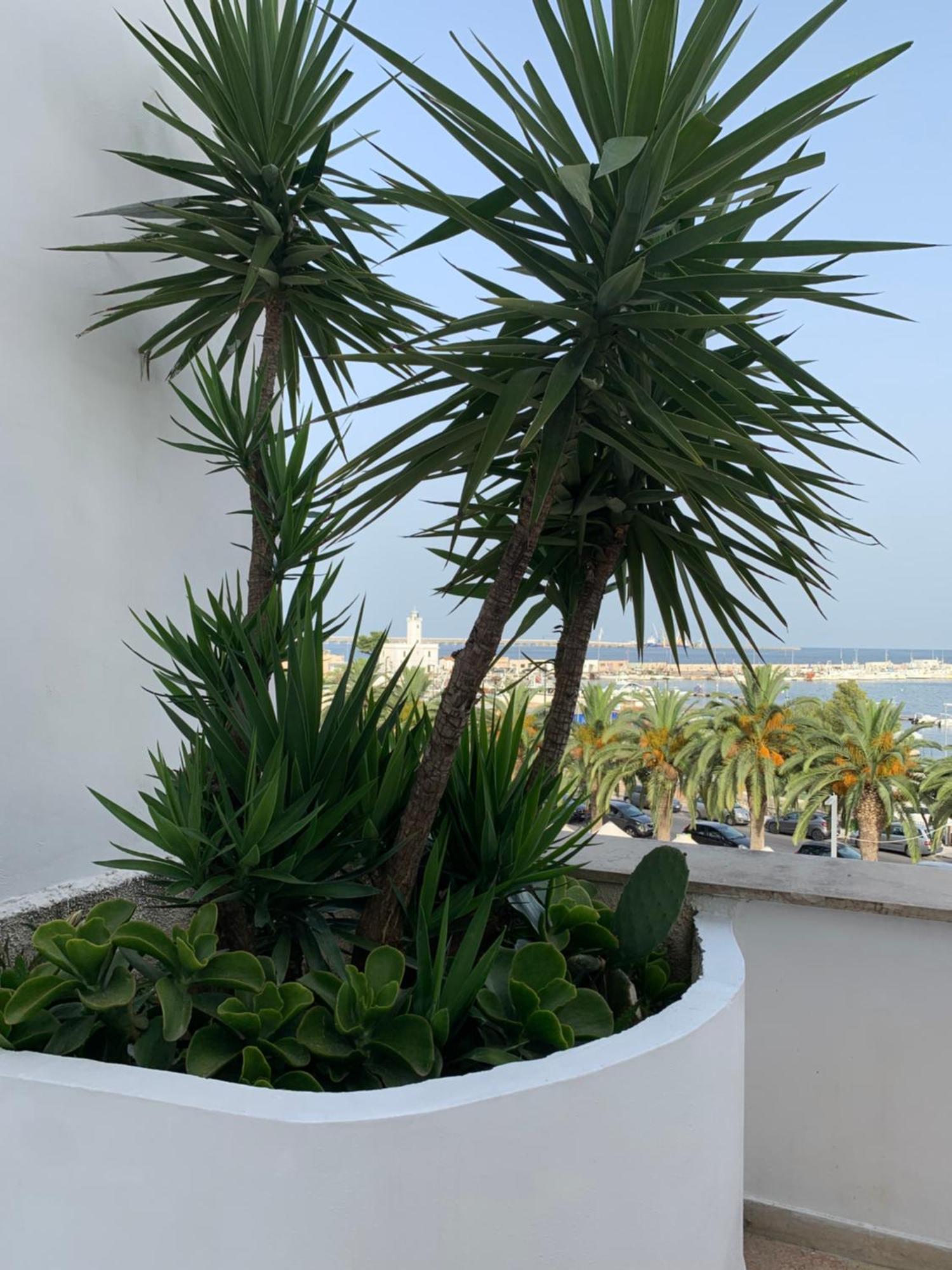 Terrazza Diomede- Manfredi Homes & Villas Manfredonia Eksteriør billede